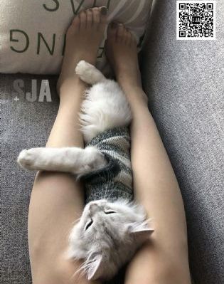 欧美精品久久久久久久小说_剧情片高清在线观看